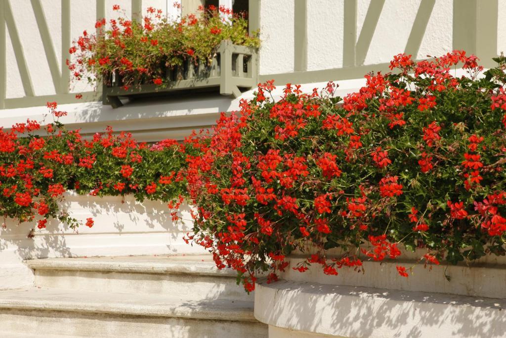 Manoir De Benerville Bed & Breakfast Довил Екстериор снимка
